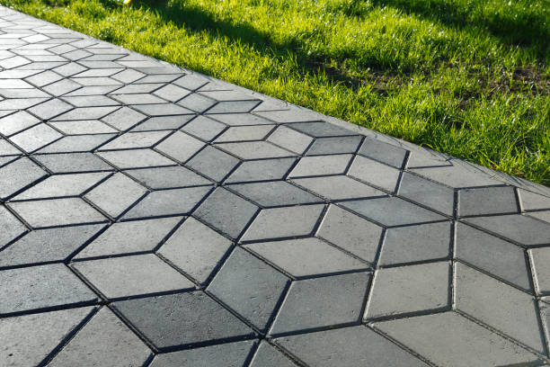 Best Local Driveway Pavers  in Cicero, IL