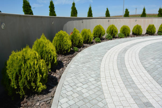 Reasons to Select Us for Your Driveway Paving Requirements in Cicero, IL